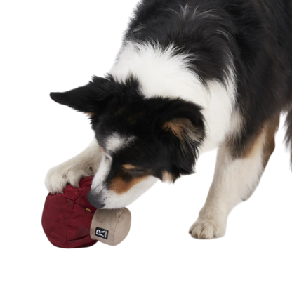 Redoggo Pilz – Nachhaltiger Suchspaß für kluge Spürnasen