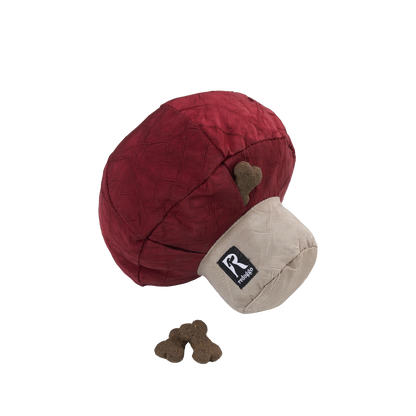 Redoggo Pilz – Nachhaltiger Suchspaß für kluge Spürnasen