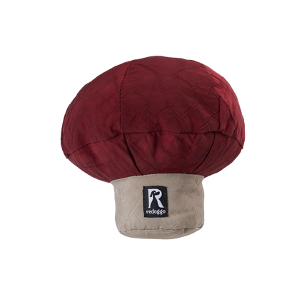 Redoggo Pilz – Nachhaltiger Suchspaß für kluge Spürnasen