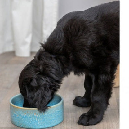 Trixie Keramiknapf für Hunde im Zeitlosen Design