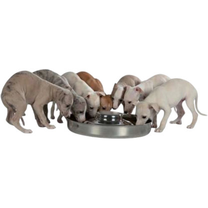Trixie Edelstahl-Welpennapf – Die perfekte Lösung für mehrere hungrige Welpen!