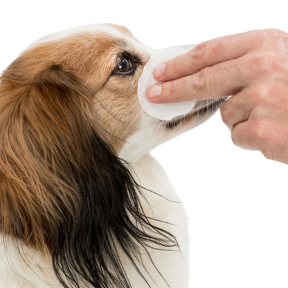 Trixie Augenpflege Einweg-Pads - 100 Stück - Pflegende Reinigungslotion für Haustiere – Sanfte Pflege mit Aloe Vera & Provitamin B5