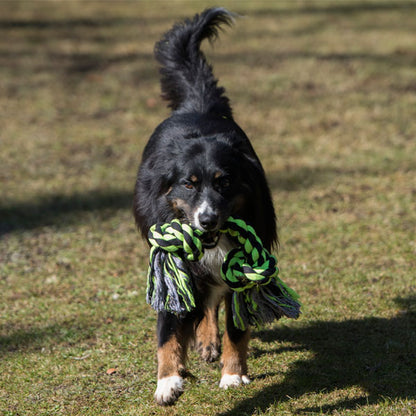 Kauen, Zerren, Apportieren – Das XXL-Kauseil für starke Hunde und gesunde Zähne