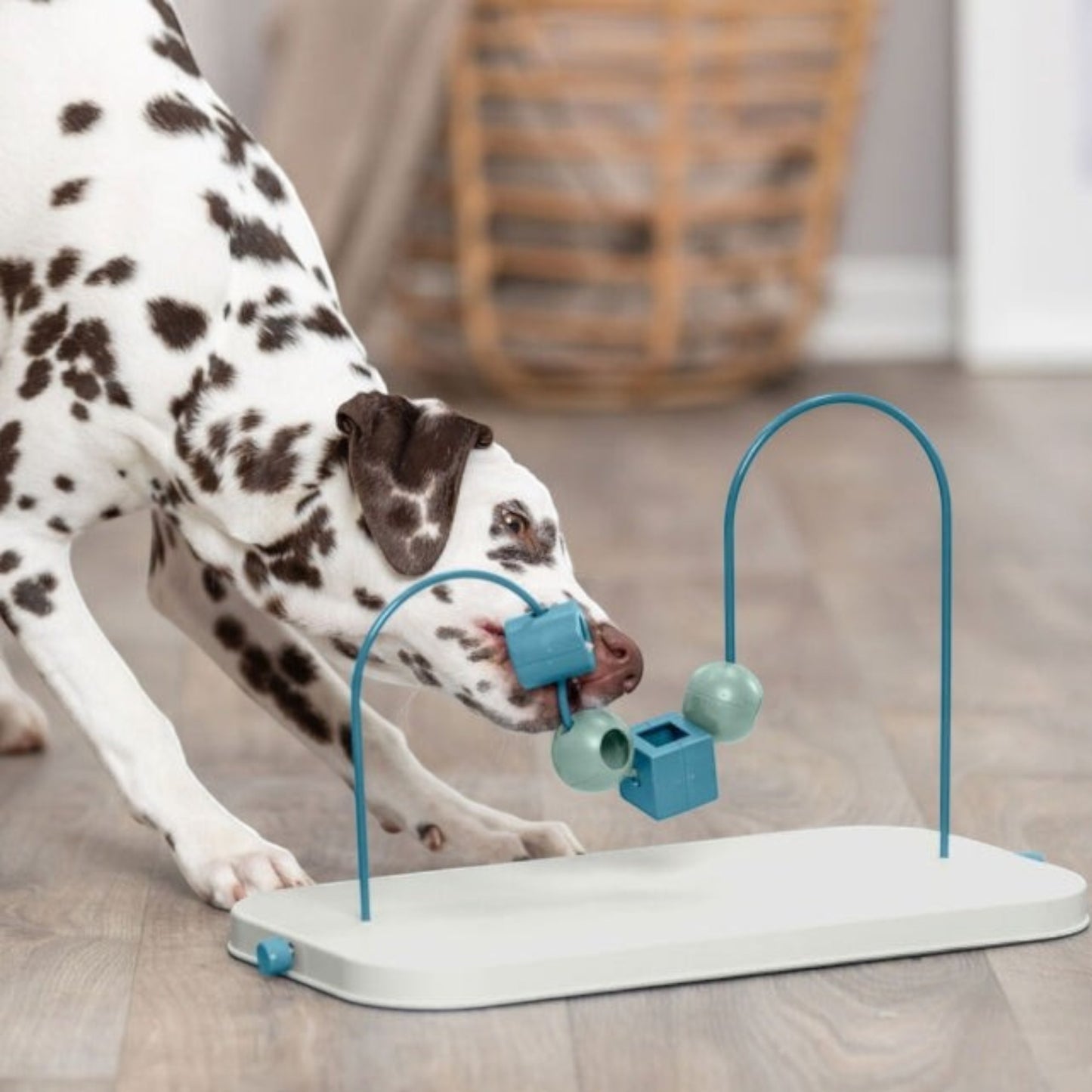 Trixie Dog Activity Skills Loop - Motorikschleife mit 4 Schiebeelementen – Fördert die Geschicklichkeit deines Hundes