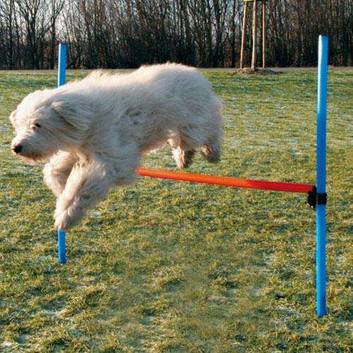 Trixie Agility-Hürde – Die Trainingshürde für sportliche Vierbeiner