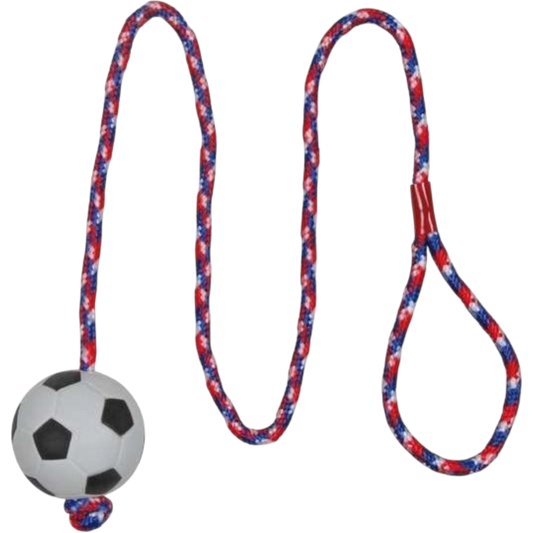 Trixie Moosgummiball am Seil – Der perfekte Spielspaß für Ihren Hund!