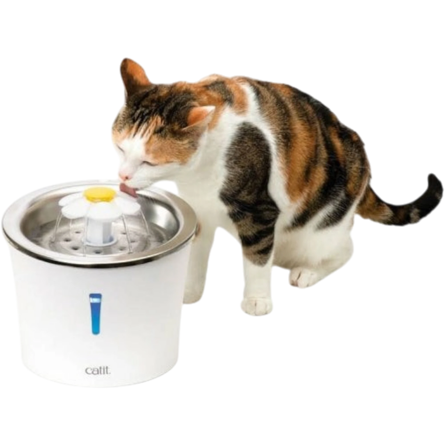 Catit Blumentrinkbrunnen mit Edelstahleinsatz – Hygienisch, ansprechend und ideal für wählerische Katzen