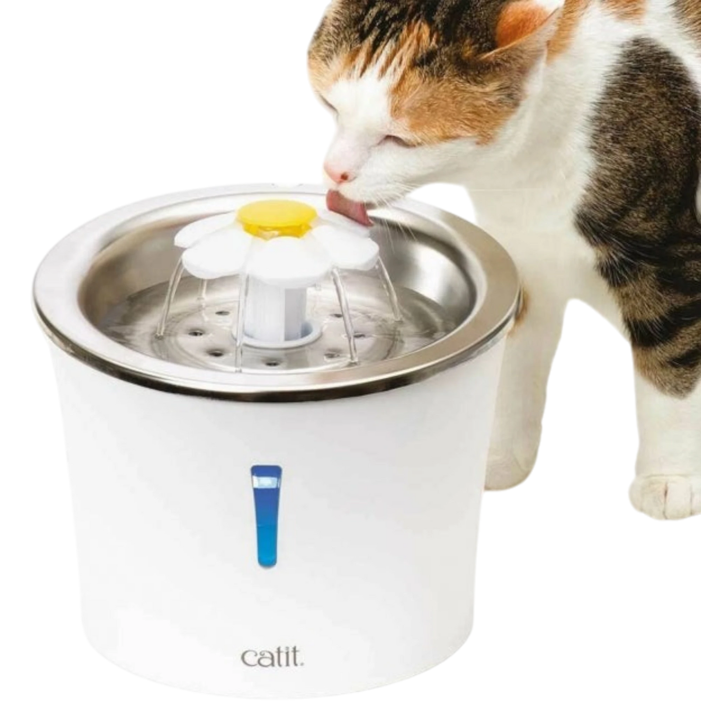 Catit Blumentrinkbrunnen mit Edelstahleinsatz – Hygienisch, ansprechend und ideal für wählerische Katzen