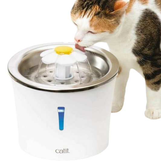 Catit Blumentrinkbrunnen mit Edelstahleinsatz – Hygienisch, ansprechend und ideal für wählerische Katzen