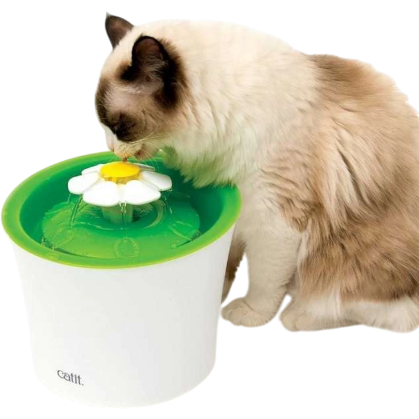 Catit Senses 2.0 Blumentrinkbrunnen – Spielerisch zur gesunden Wasseraufnahme