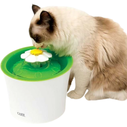 Catit Senses 2.0 Blumentrinkbrunnen – Spielerisch zur gesunden Wasseraufnahme
