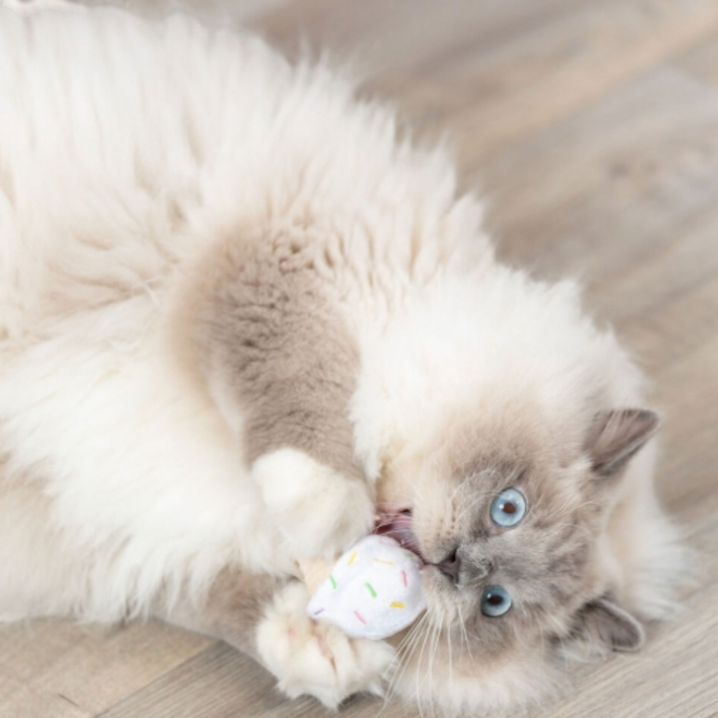 Trixie Katzenspielzeug Eis & Cupcake – klein, verspielt, unwiderstehlich