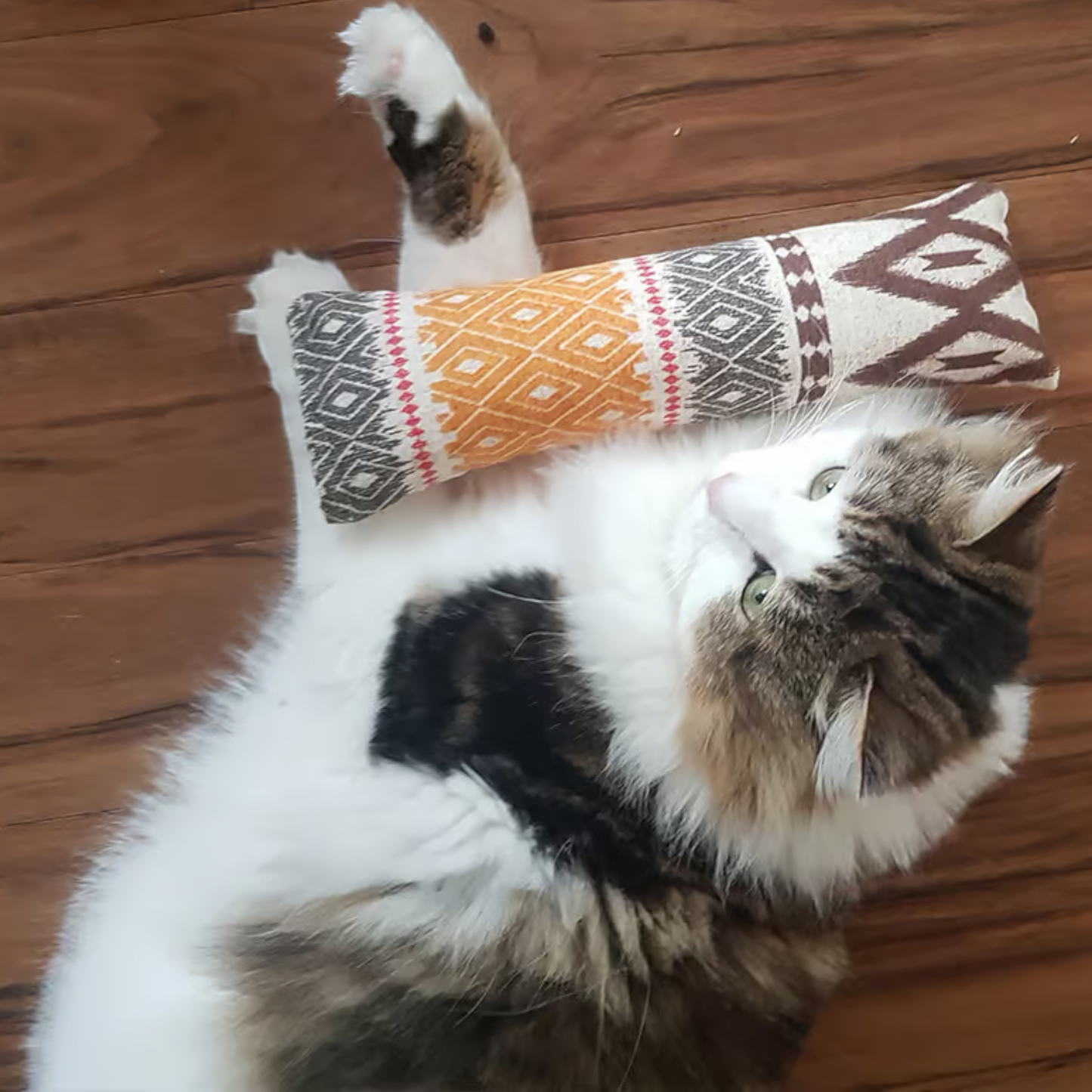 4Cats - Klassik Spielrolle