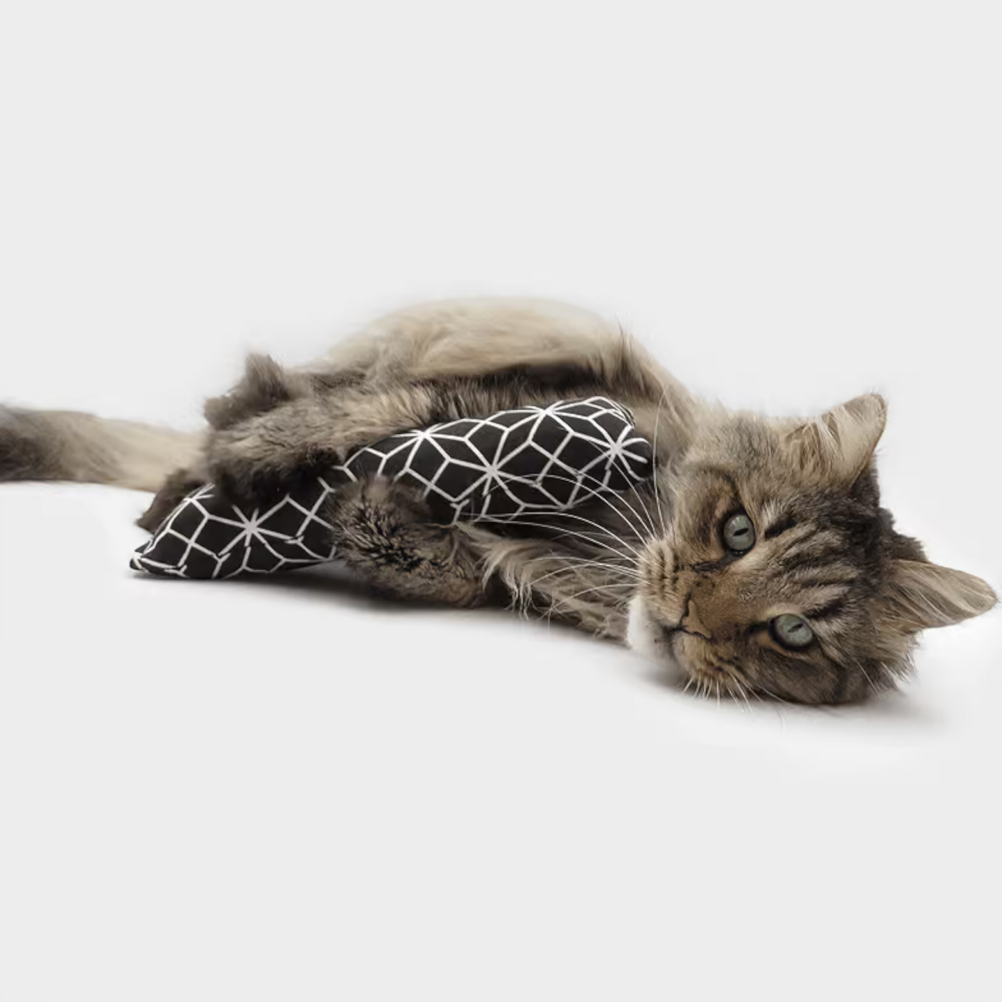 4Cats - Klassik Spielrolle