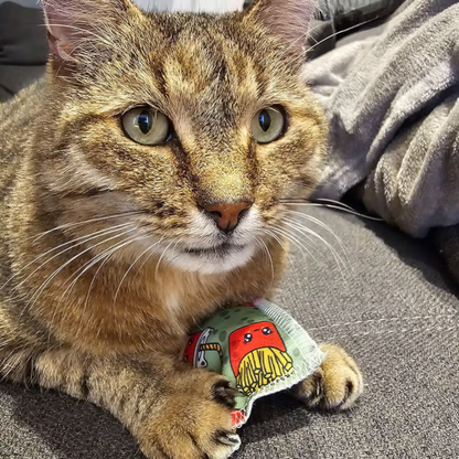 4Cats - Süße Food Schmusekissen