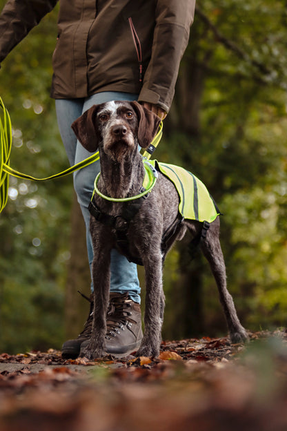 Sicherheitsjacke Fluo – Maximale Sichtbarkeit für deinen Hund!