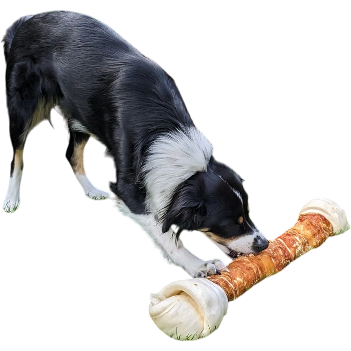 StarSnack BBQ Chicken Knotted Bone – Knoten für Kauspaß, gemacht für große Hunde