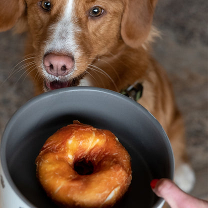 StarSnack BBQ Chicken Donut – Der runde Kauspaß für glückliche Hunde