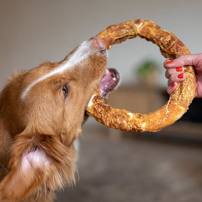 StarSnack BBQ Chicken Donut XL – Der große Kauring für das ganz große Kauvergnügen