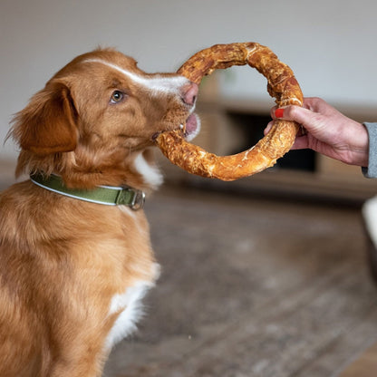StarSnack BBQ Chicken Donut XL – Der große Kauring für das ganz große Kauvergnügen