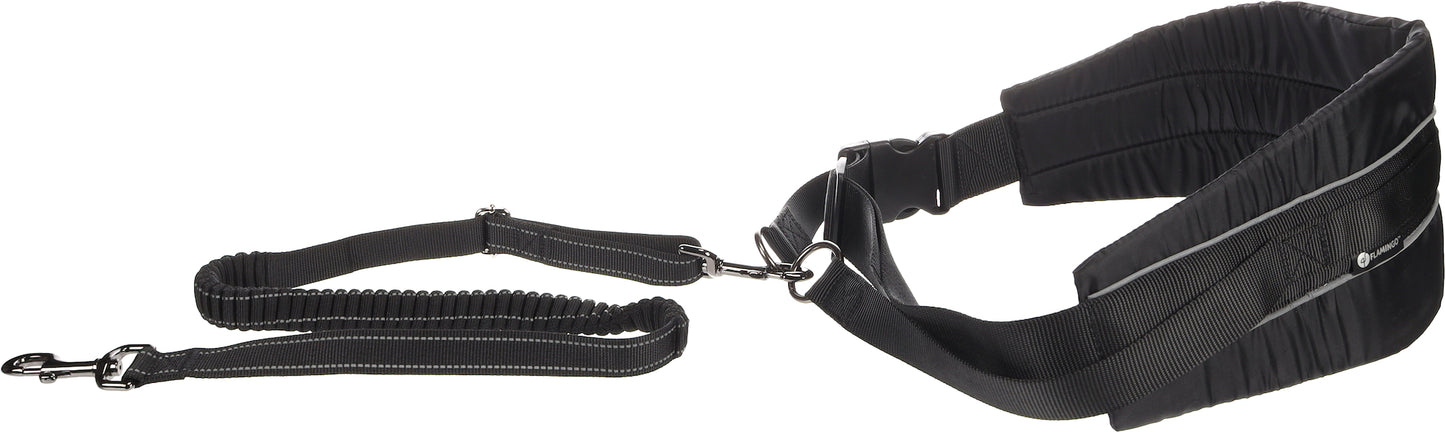 Joggingleine mit Hüftgurt Canicross – Freihändiges Laufen mit deinem Hund