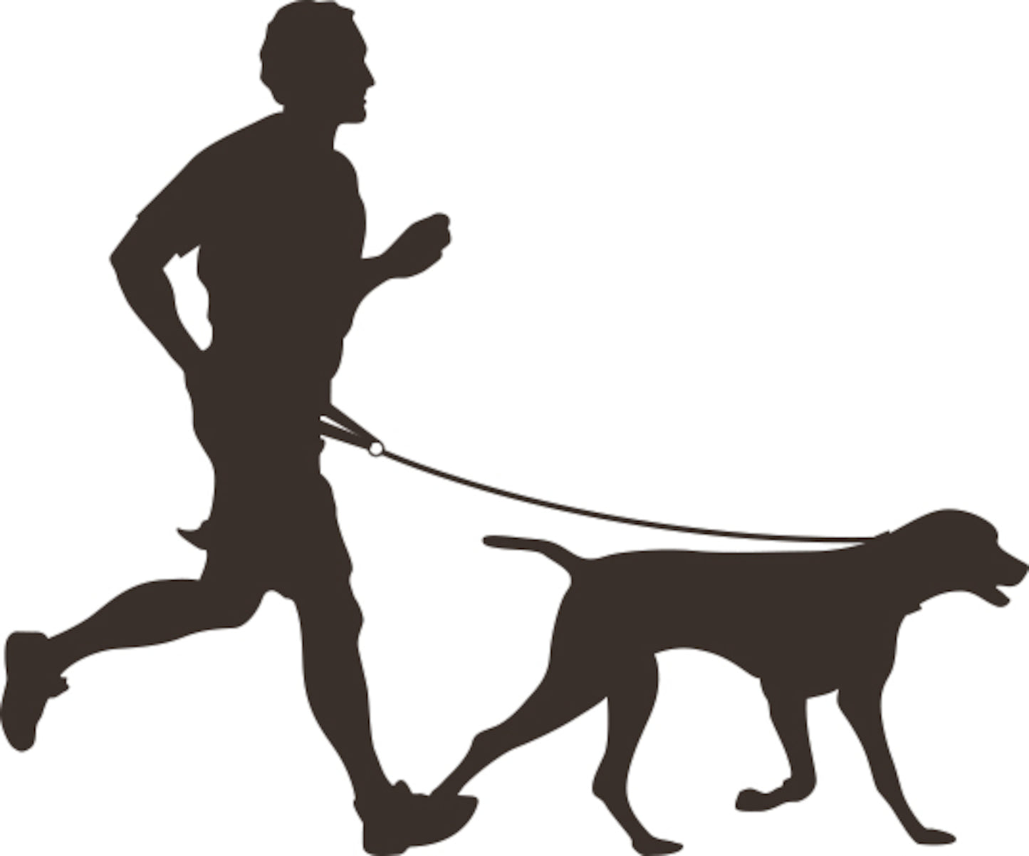 Joggingleine mit Hüftgurt Canicross – Freihändiges Laufen mit deinem Hund