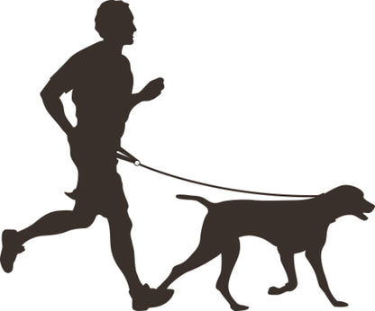 Joggingleine mit Hüftgurt Canicross – Freihändiges Laufen mit deinem Hund