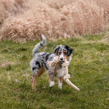 Spielseil „Sisal-Cotton-Mix“ – Natürliches Spielvergnügen & Zahnpflege!