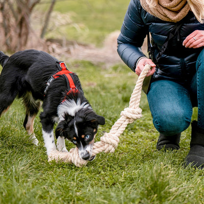 Spielseil „Sisal-Cotton-Mix“ – Natürliches Spielvergnügen & Zahnpflege!