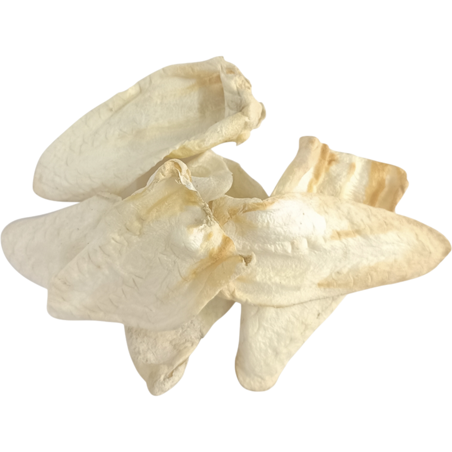 Nobby Nature Ziegenohren – 100 % natürliche, luftgetrocknete Ziegenohren für Hunde