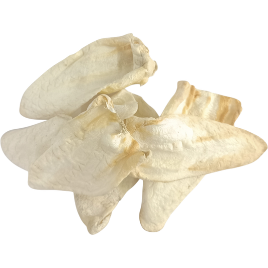 Nobby Nature Ziegenohren – 100 % natürliche, luftgetrocknete Ziegenohren für Hunde