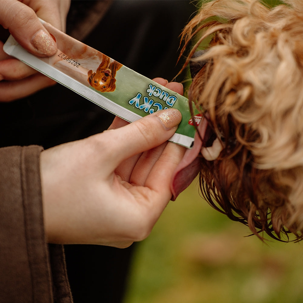 StarSnack LICKY Duck – Cremiger Entensnack zum Schlecken