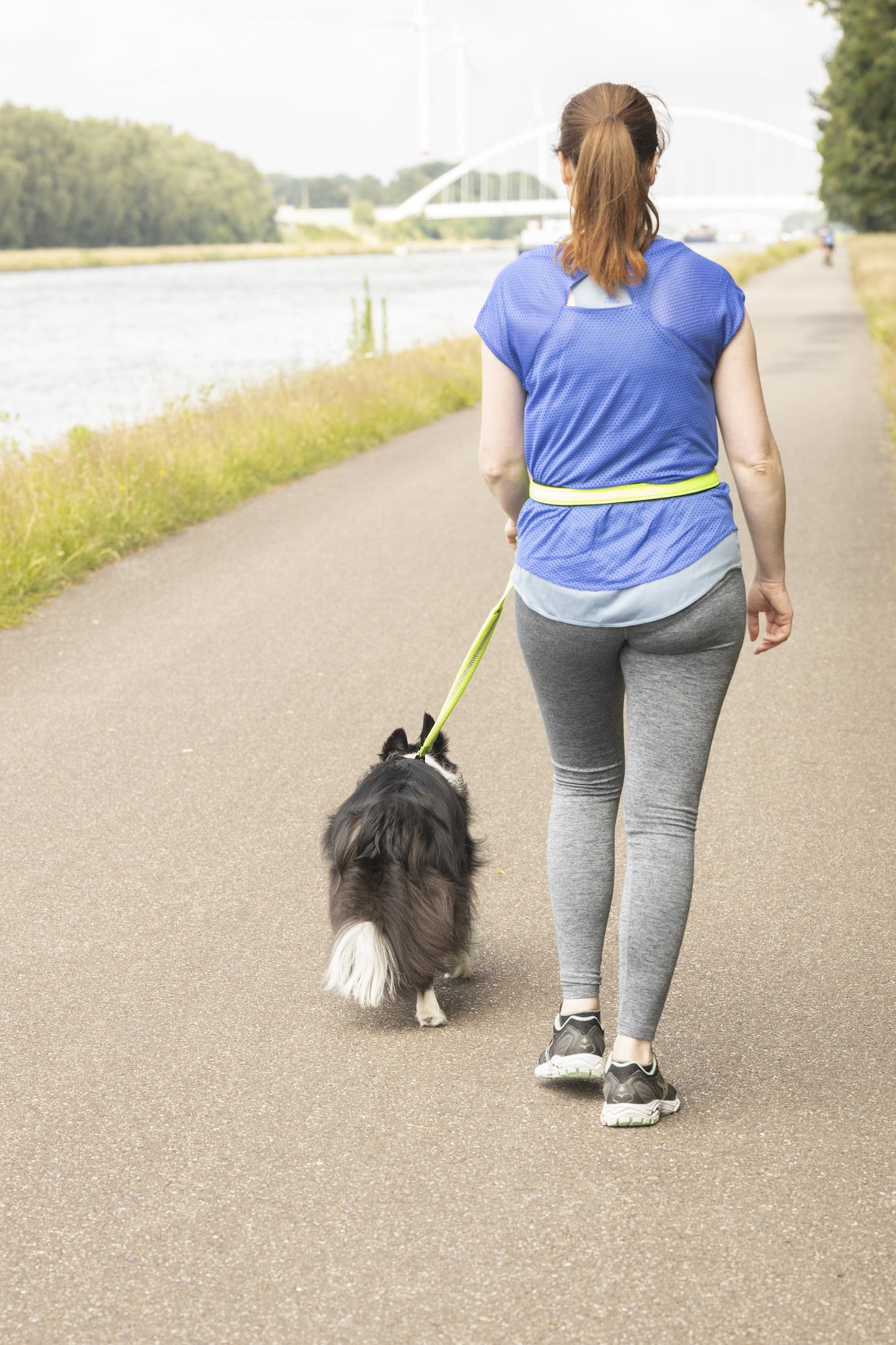 Joggingleine mit Hüftgurt Diran – Komfort & Sicherheit für aktive Spaziergänge!