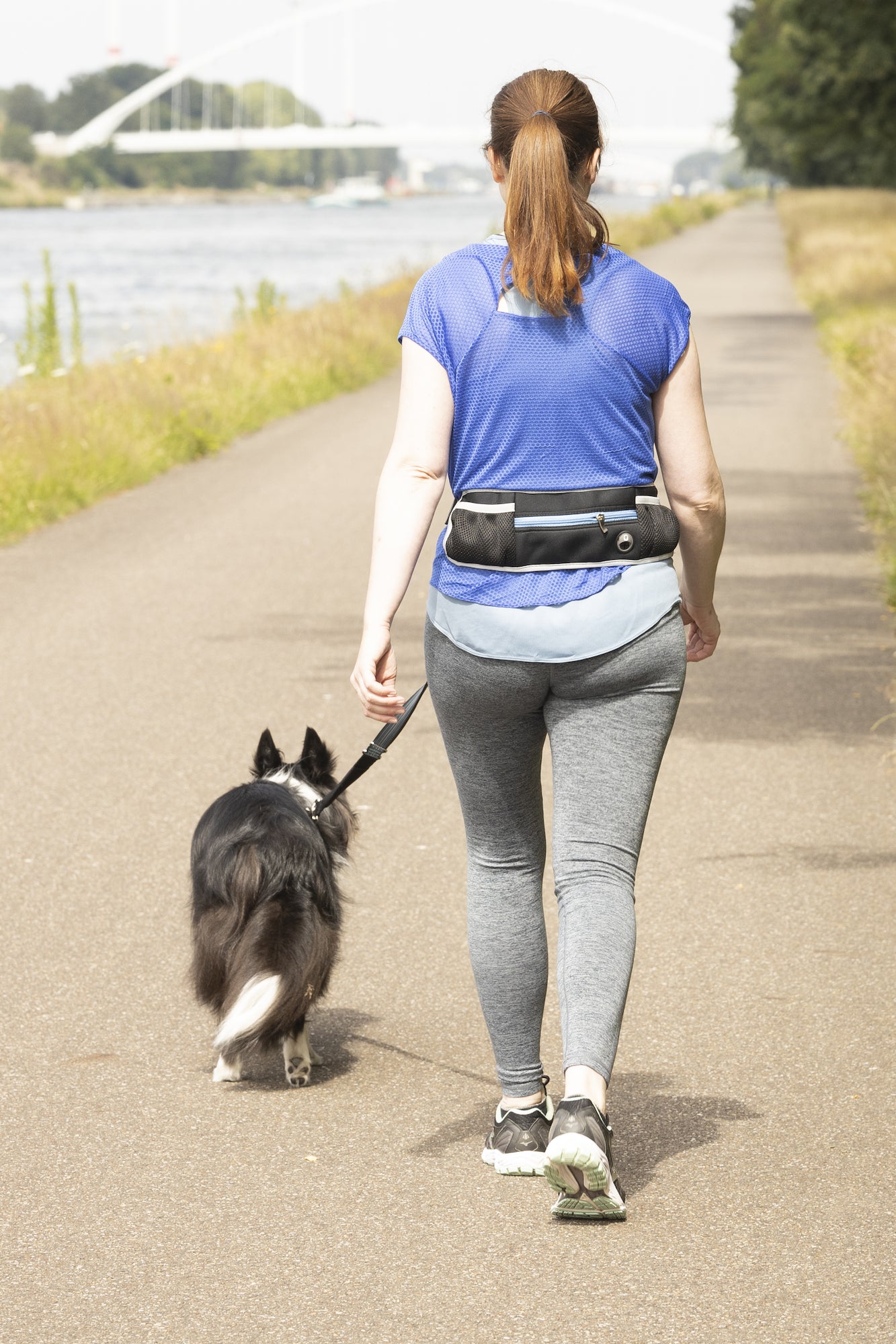 Joggingleine mit Hüftgurt Rono – Komfort & Sicherheit für aktive Hundebesitzer