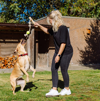 Kaffeeholz mit Seil – Natürliches Kauvergnügen für Ihren Hund