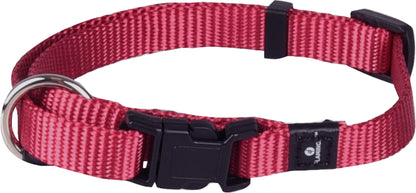 Halsband Ziggi – Perfekte Balance aus Eleganz, Schutz & Tragekomfort!