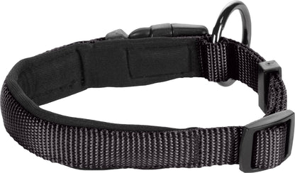 Abbi Hundehalsband – Stilvoll, Komfortabel & Funktional