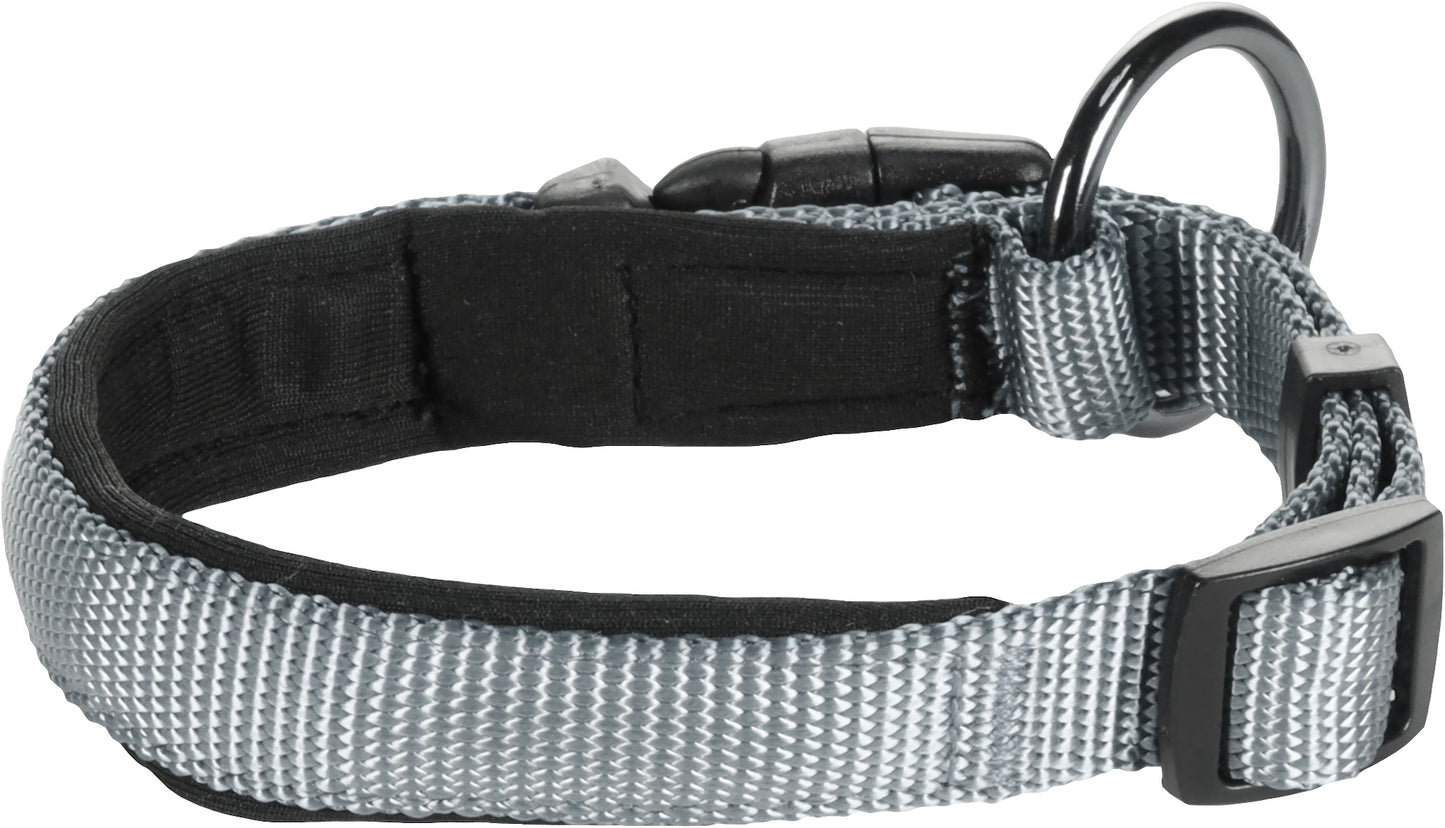 Abbi Hundehalsband – Stilvoll, Komfortabel & Funktional