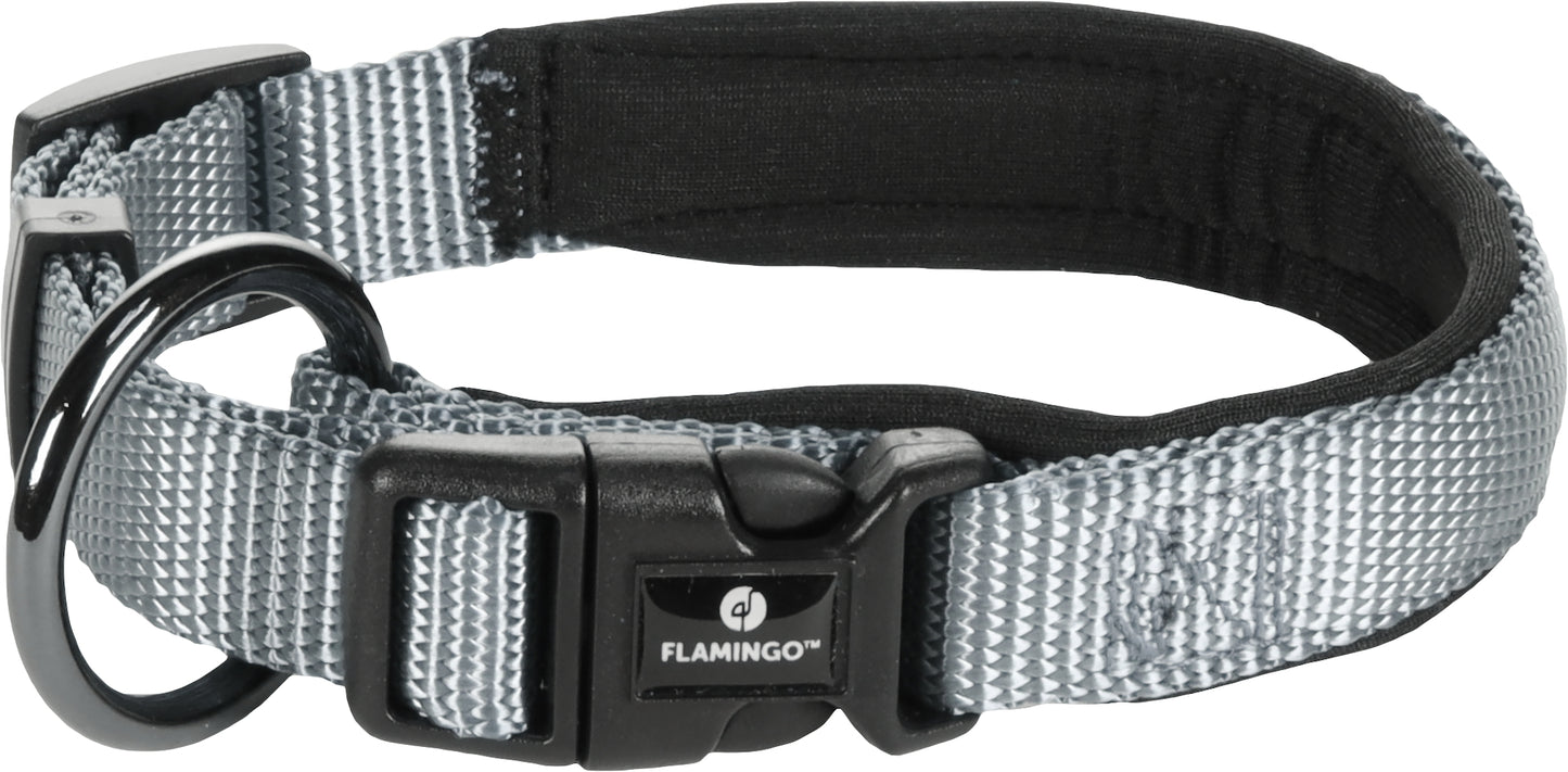 Abbi Hundehalsband – Stilvoll, Komfortabel & Funktional