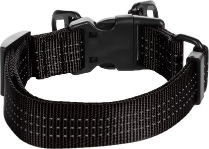 Halsband Zorba – Stilvolles Design & hoher Tragekomfort für deinen Hund