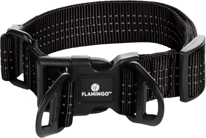Halsband Zorba – Stilvolles Design & hoher Tragekomfort für deinen Hund