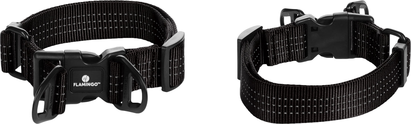 Halsband Zorba – Stilvolles Design & hoher Tragekomfort für deinen Hund