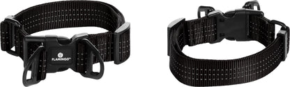 Halsband Zorba – Stilvolles Design & hoher Tragekomfort für deinen Hund