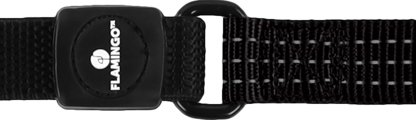 Leine Zorba – Komfort & Sicherheit für jeden Spaziergang