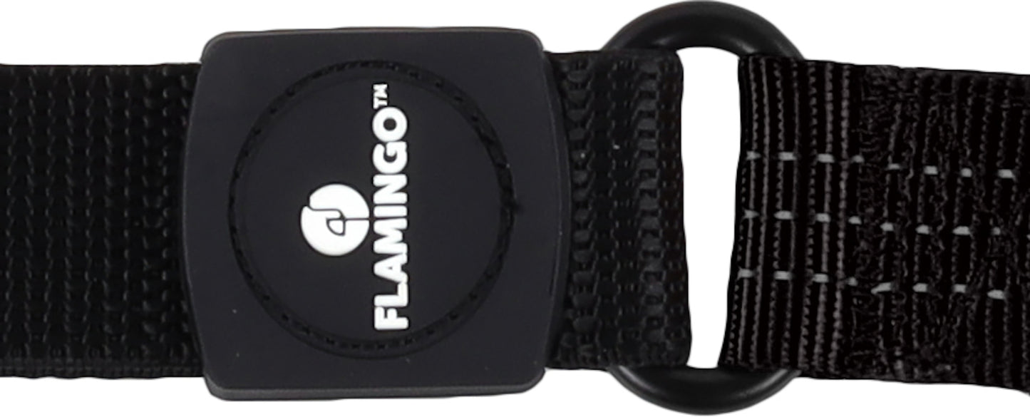 Leine Zorba – Komfort & Sicherheit für jeden Spaziergang