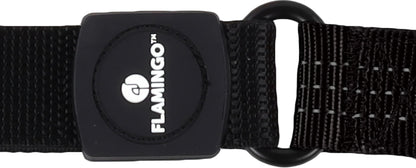 Leine Zorba – Komfort & Sicherheit für jeden Spaziergang