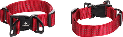Halsband Zorba – Stilvolles Design & hoher Tragekomfort für deinen Hund