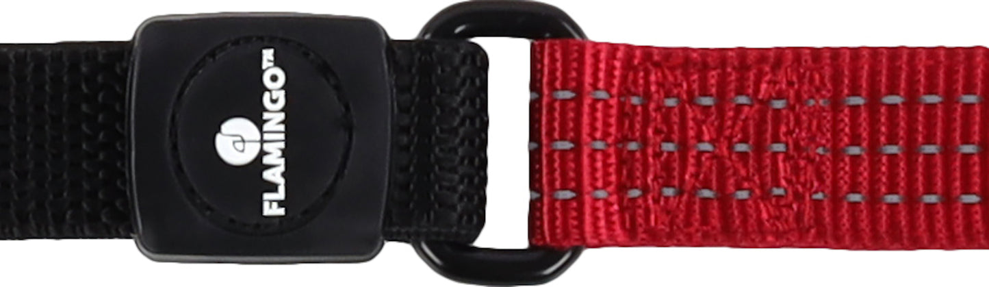 Leine Zorba – Komfort & Sicherheit für jeden Spaziergang