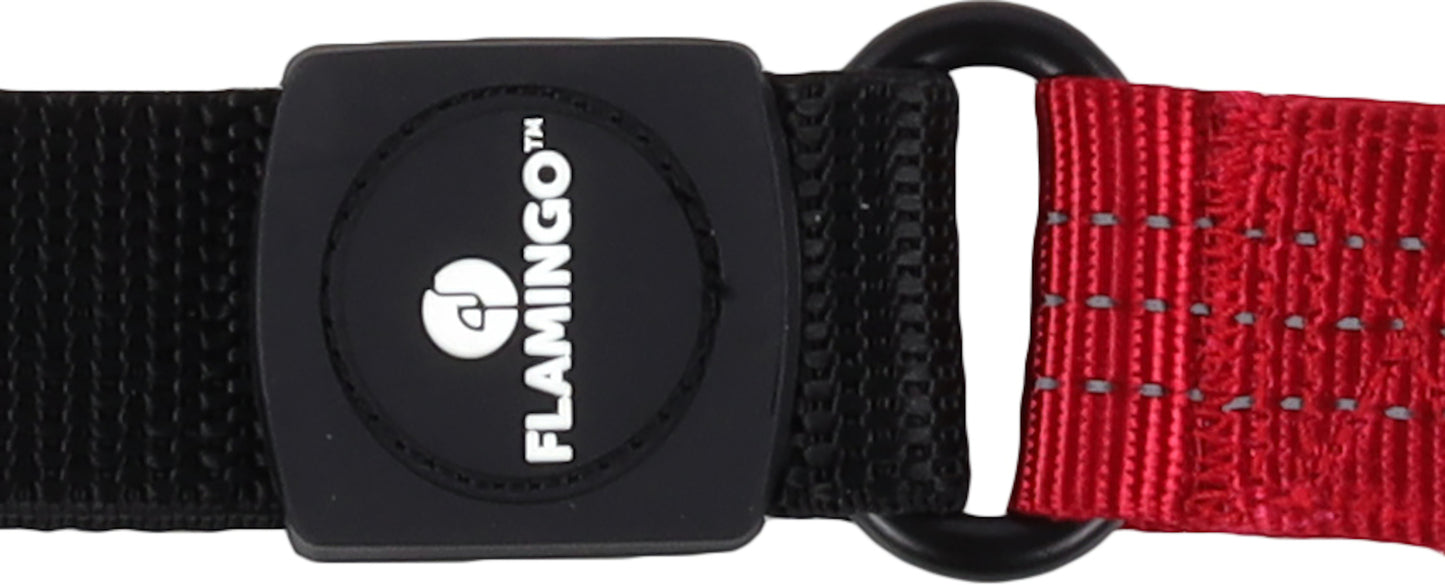 Leine Zorba – Komfort & Sicherheit für jeden Spaziergang