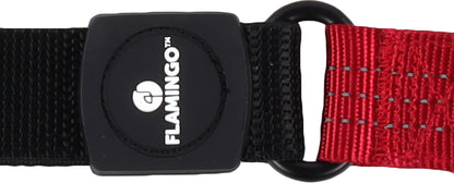 Leine Zorba – Komfort & Sicherheit für jeden Spaziergang